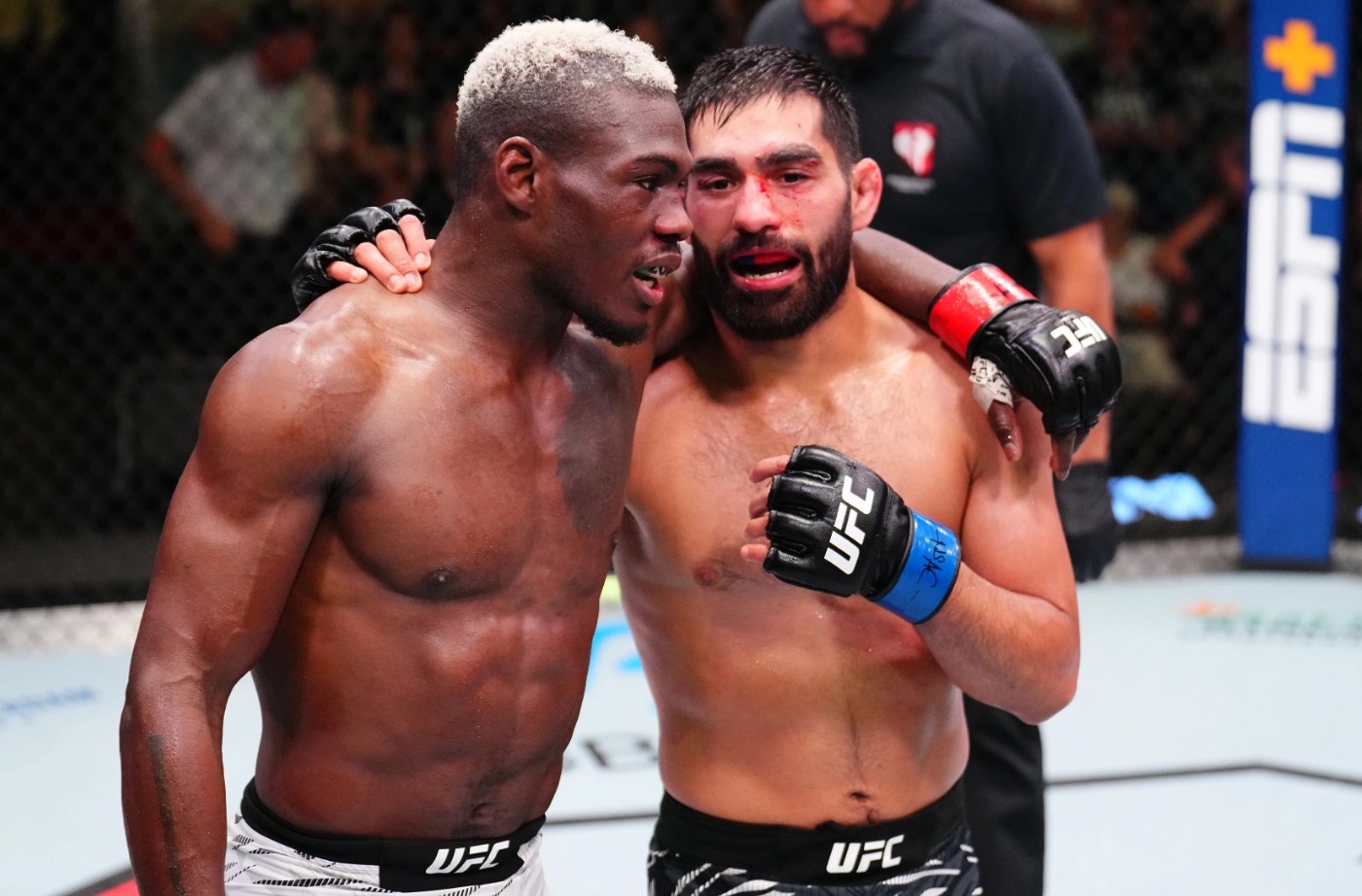 Newcomer Eyes Decide: UFC or Boxing, and Why First Clicks Go Where They Do