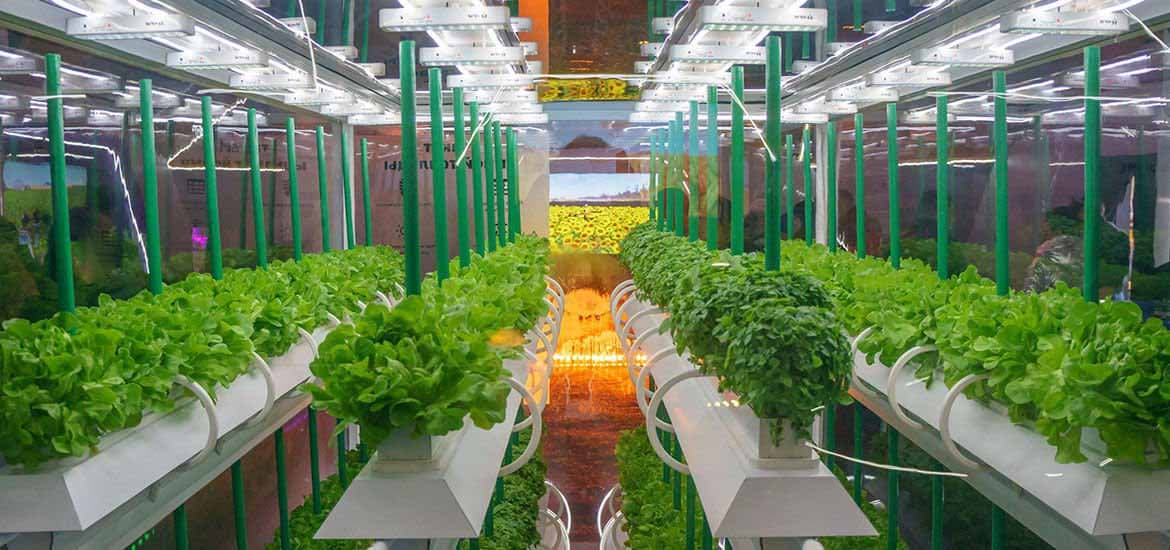 How Do Agri-Tech Startups Register in Singapore